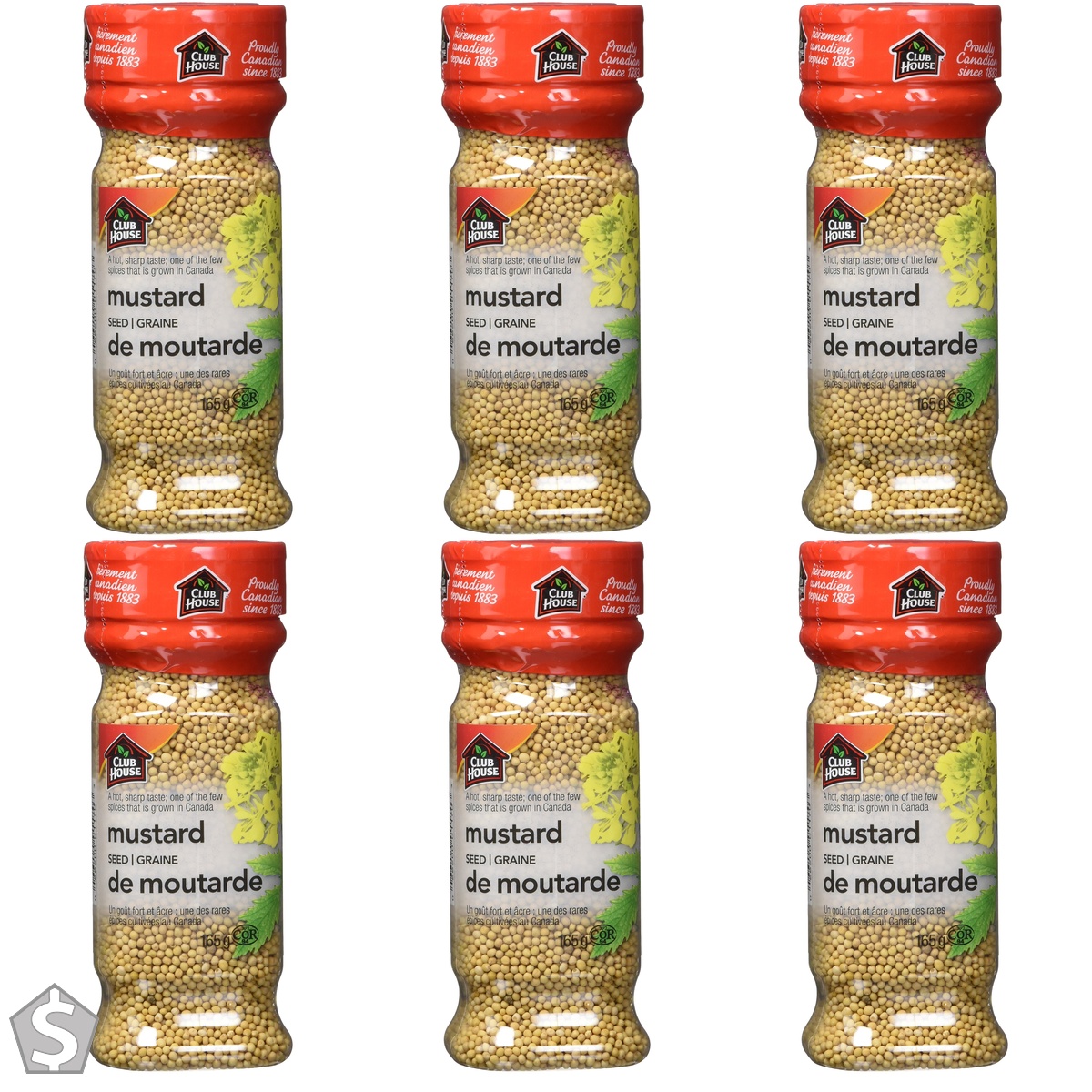 Club House, Quality Natural Herbs & Spices, Mustard Seed, 165g (Pack of 6)