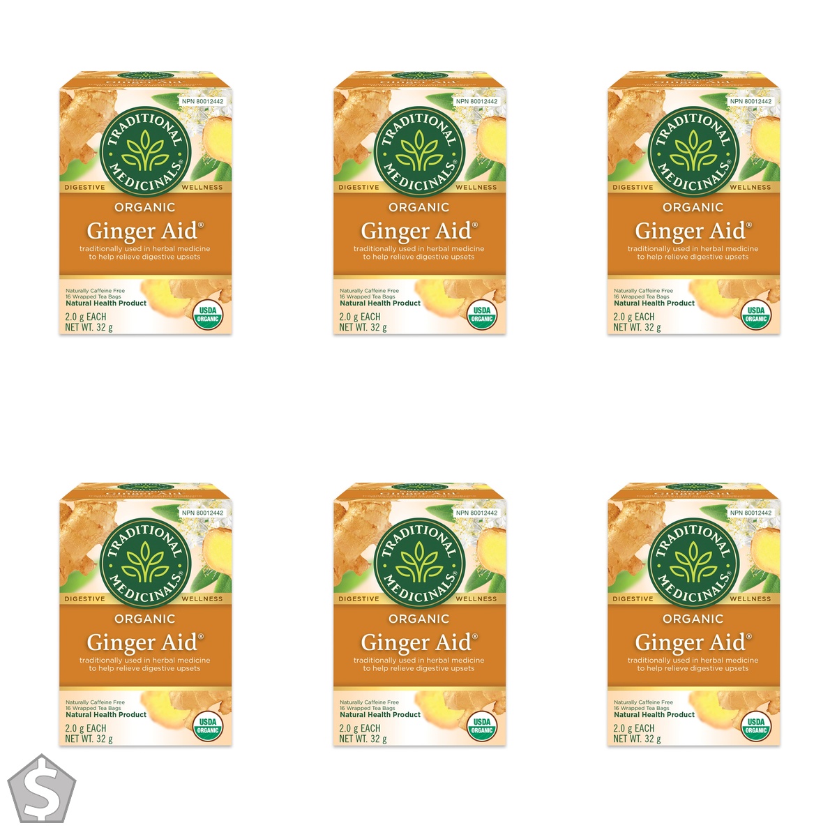 Traditional Medicinals - Organic Ginger Aid Herbal Tea - Help Relieve Digestive Upset, Indigestion and Nausea - 16 Tea Bags Total 16 Count (Pack of 6)