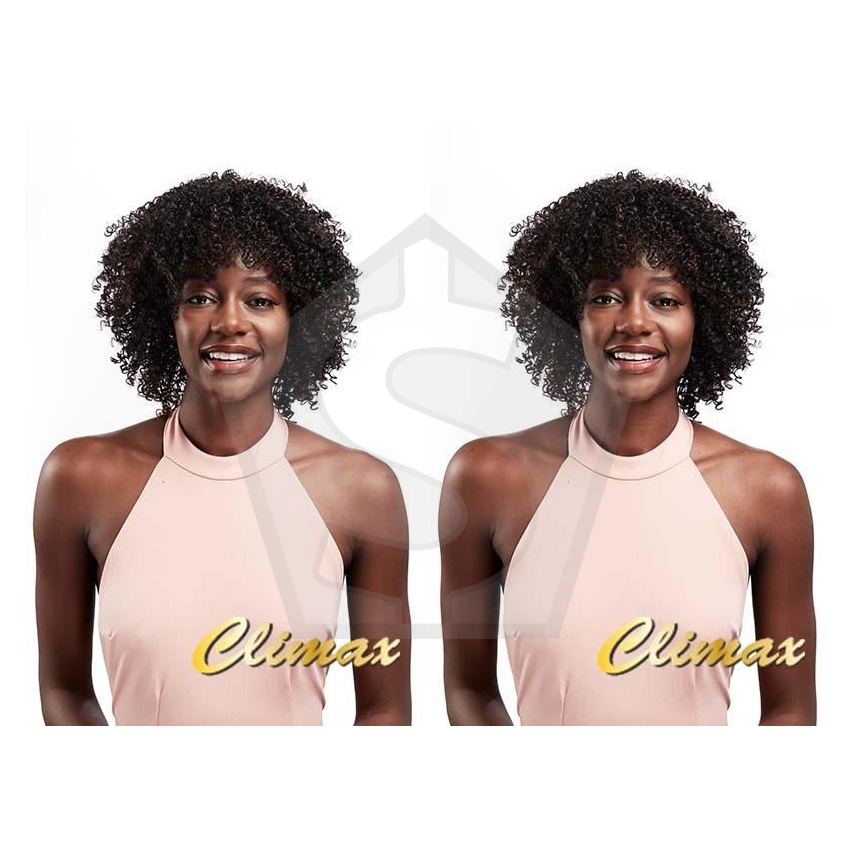 Bundle of 2 - CLIMAX Queen Afrelle Synthetic Hair Wig [Small] - F1B/30