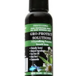 MORNING GLORY Gro-Protect Solution - 2oz / Black Berry