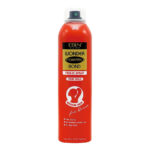 EBIN Wonder Ponytail Bond Freeze Spray (8oz) - Firm Hold