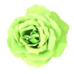 KIM & C Flower Hair Decoration - Clip and Pin / Burgundy Assorted / [12pcs/Pack]