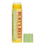 BURT'S BEES Lip Balm Refill Pack (0.15oz) - Cucumber Mint