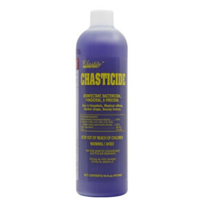 CHASTITY Chasticide Disinfectant - 16oz