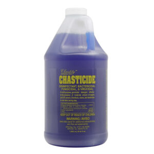 CHASTITY Chasticide Disinfectant - 64oz