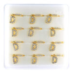 INTERVISION Copper Nose Stud NP22-D (12pcs) - Gold