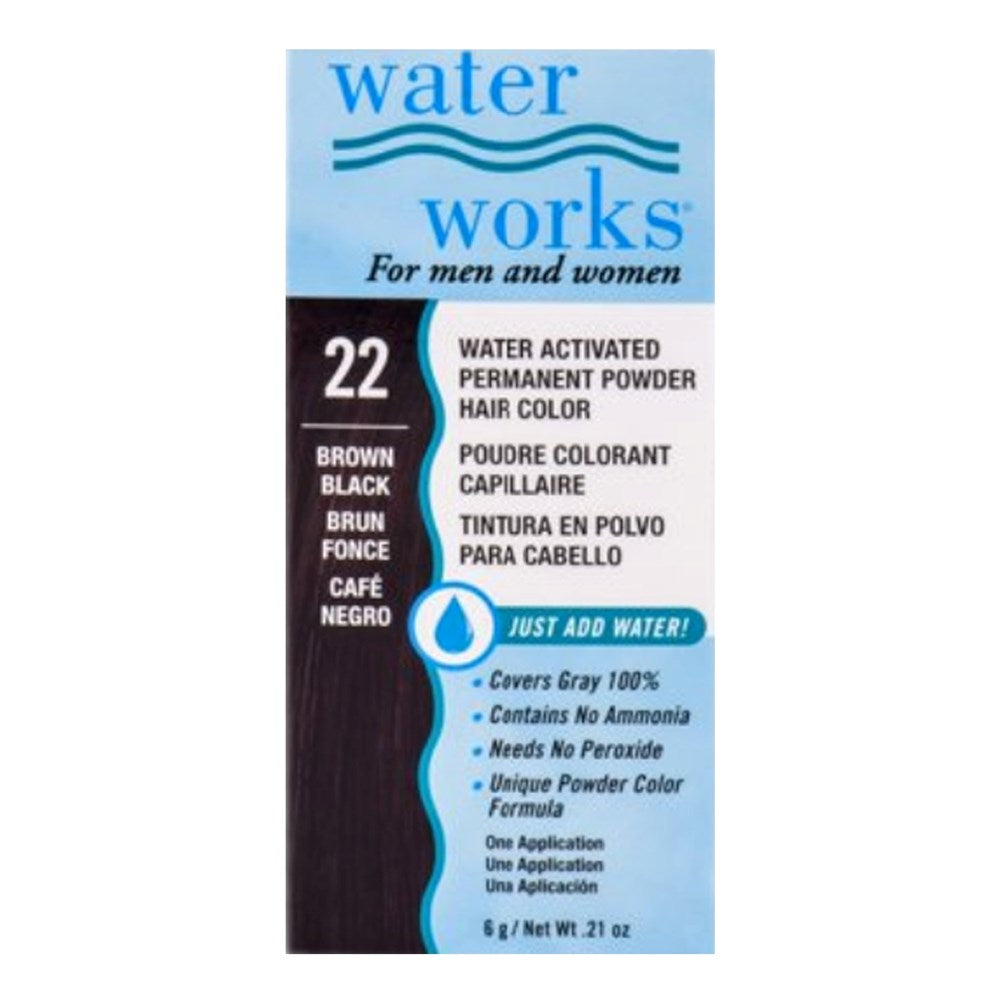 WATER WORKS Water Activated Permanent Powder Hair Color - 22 Brown Black