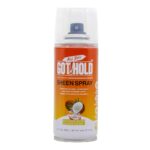 ALL DAY GOT HOLD Sheen Spray - 2.7oz